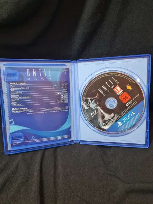 Until Dawn