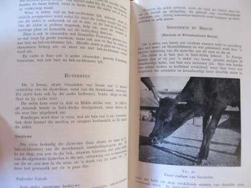 Handboek oof veesiektes-  Monnig en Veldman