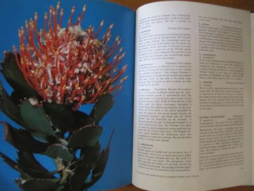 Die Groot Tuinboek oor inheemse Struike en Bome  -  Una vd Spuy