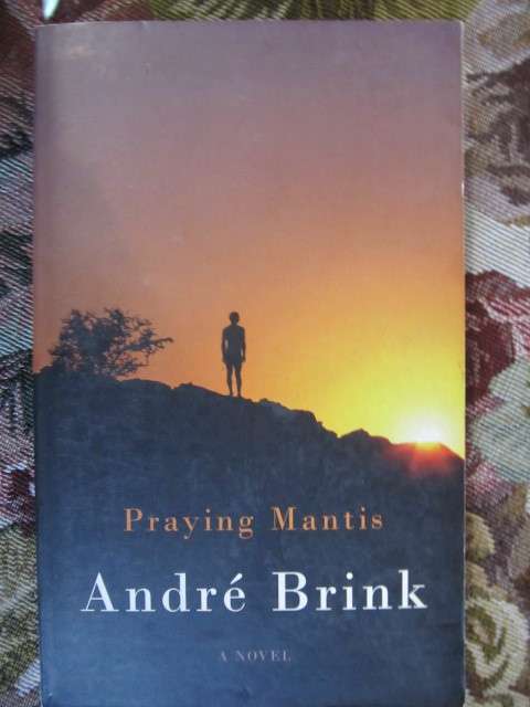 Andre P Brink -  Praying Mantis