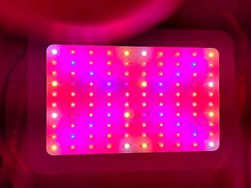 1000W LED Grow Light, Full Spectrum for Greenhouse and Hydroponic Plant