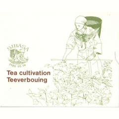 VENDA 1980 TEA CULTIVATION COLLECTORS SHEET 1.3a
