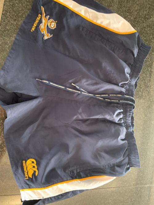 Springbook Player issue Gym / Swim short. 2xl