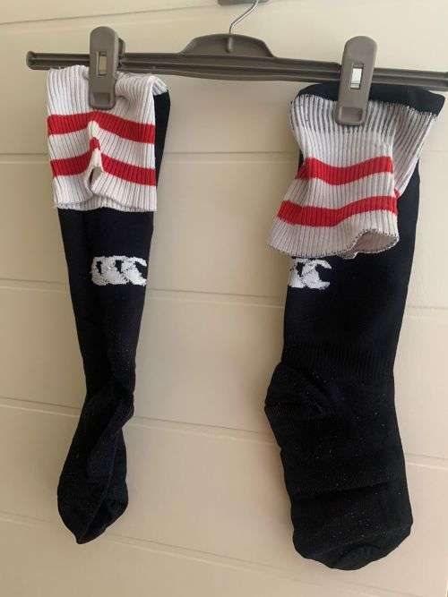 Lions Rugby Socks