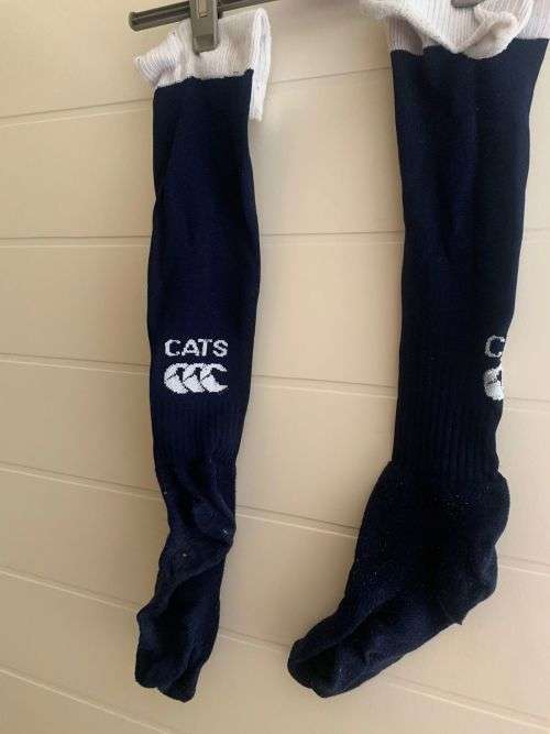 CATS Rugby Socks