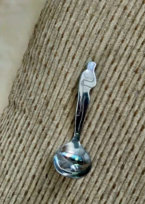 CARROL BOYES