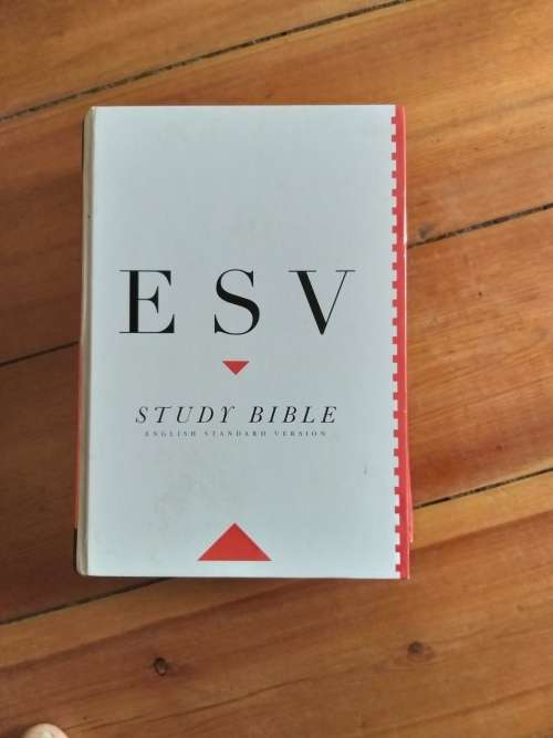ESV- ENGLISH STANDARD VERSION *STUDY BIBLE*