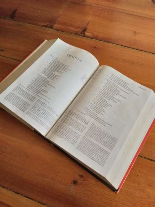 ESV- ENGLISH STANDARD VERSION *STUDY BIBLE*
