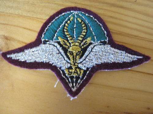 1 para bn beret badge