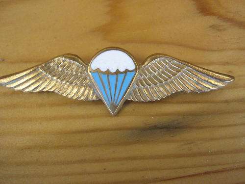 static wings  para bn