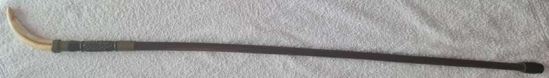 Tusk handled concealed knife walking stick