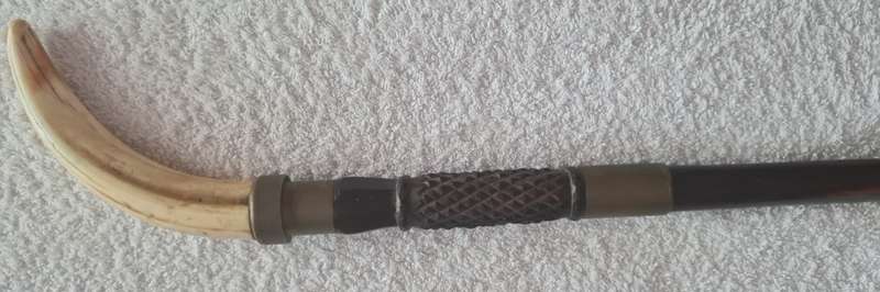 Tusk handled concealed knife walking stick