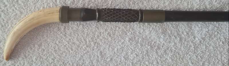 Tusk handled concealed knife walking stick