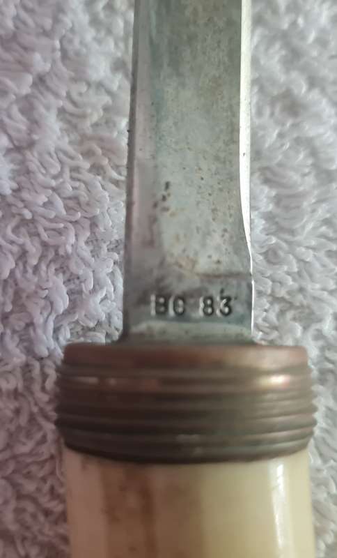 Tusk handled concealed knife walking stick