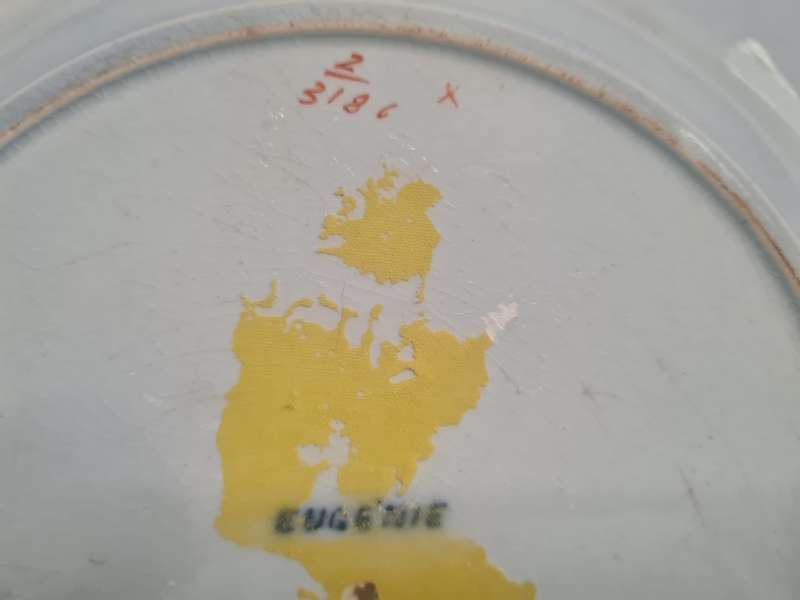 Ridgeway Plate `Eugenie` Pattern No.2/3186