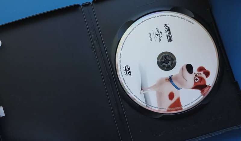 The Secret Life of Pets - DVD