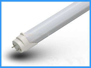 Wholesale LED T8 FLUORESCENT TUBE LIGHTS: 600MM 2ft 220V MILKY COVER/COOL WHITE