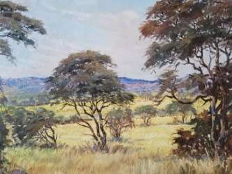 Andre de Beer oil on canvas size 910mm x 760mm