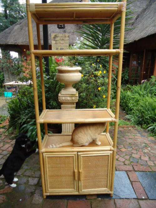 Cane wall unit