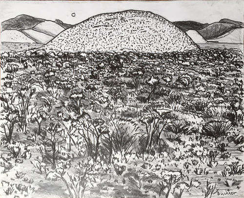Karoo landscape - original drawing by Chris Buchner