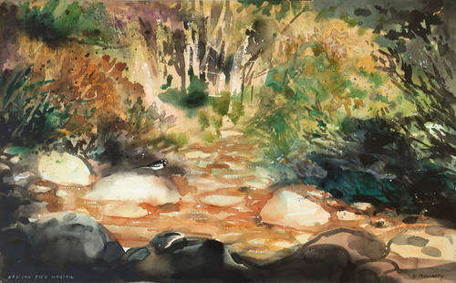 Vintage watercolour of African pied wagtail in landscape