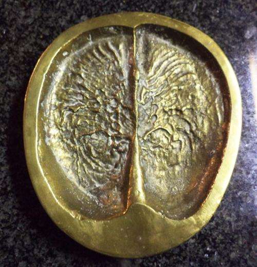 R1/NR!  BUFFAL0  FOOTPRINT IMPRINTED IN BRASS BY B.W. GENIS 1980