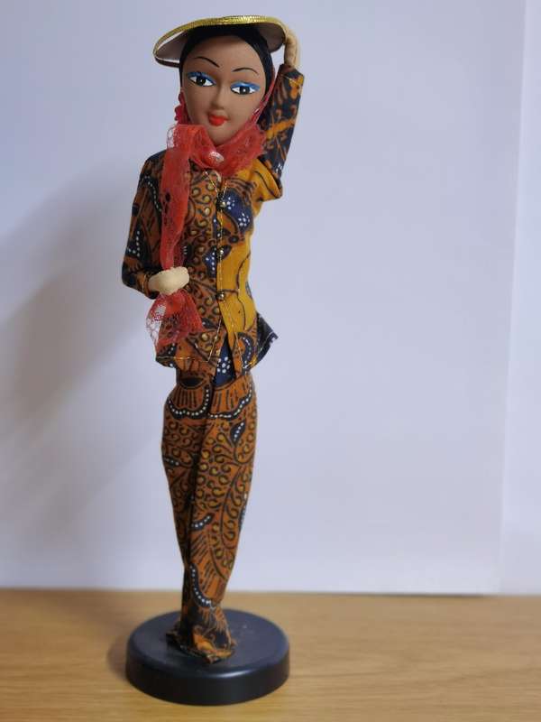 Collection Of 51 International Dolls Lovingly Collected and Curated Over 30 years
