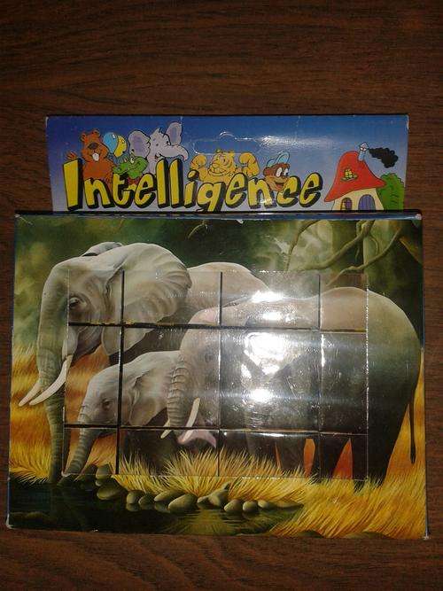 Intelligence Jigsaw Puzzle - 6 puzzles in one - Elephants; panda; tiger; cheetah; leopard etc