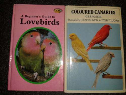 Two books for one bid (A beginners guide to lovebirds & Coloured Canaries)