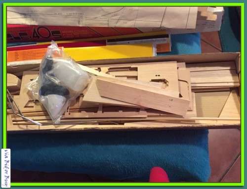 INCOMPLETE PROECT....EAGLE-40S RADIO CONTROLLED AEROPLANE (TAIWAN)