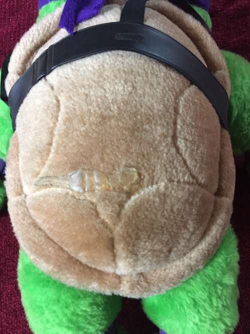 TEENAGE MUTANT NINJA TURTLES: DONNATELLO SOFT TOY (36CM)