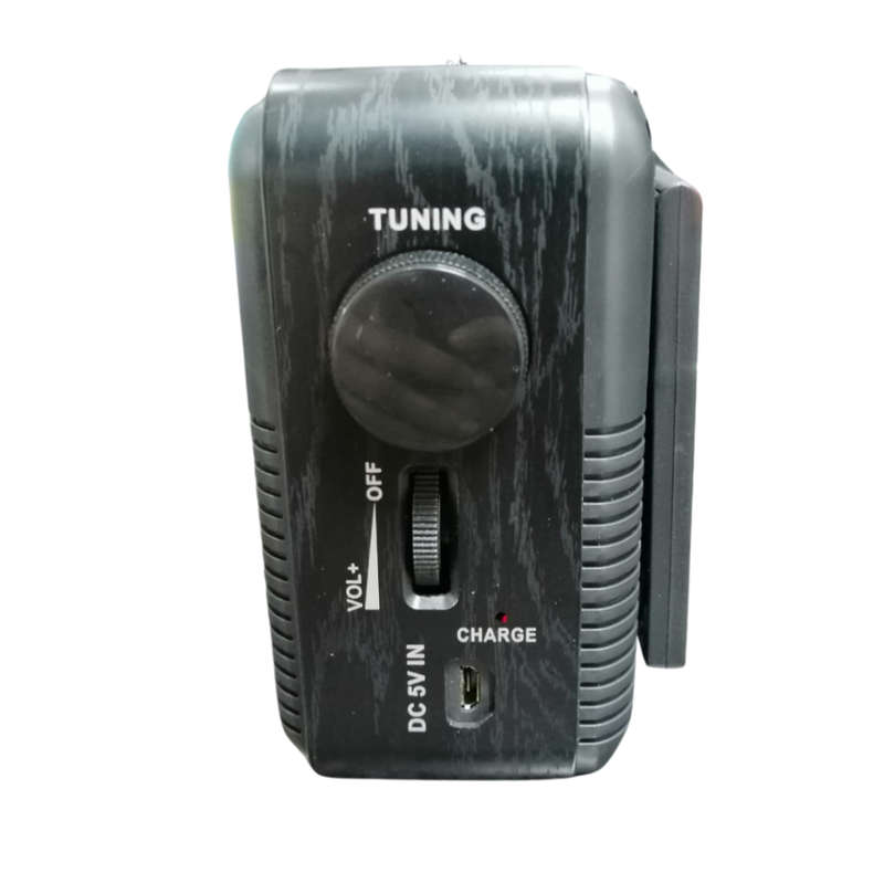 iStar Solar FM Radio IS-1005S