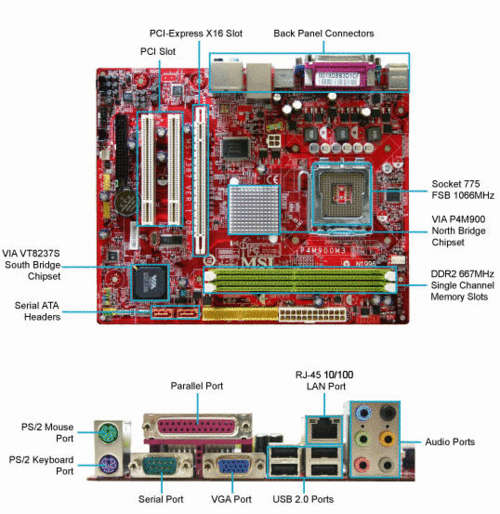 MSI P4M900M3 Motherboard and Cpu Bargain!! Grab it ! :)