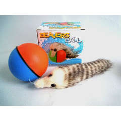 Beavers Ball