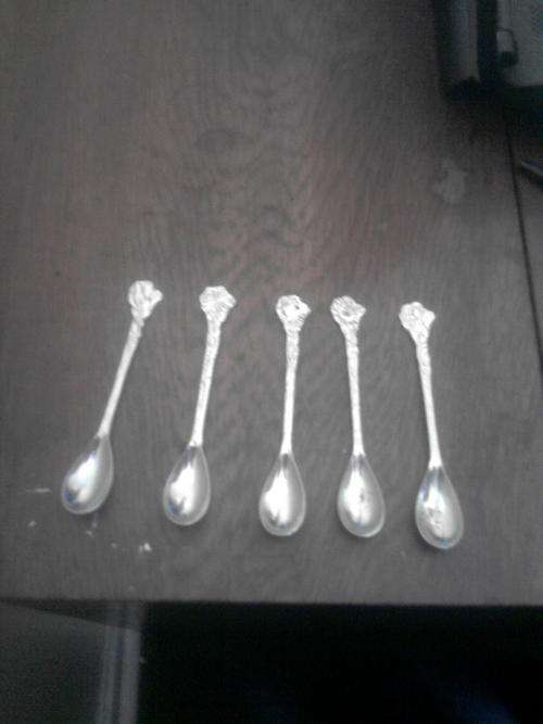 5 nederlandse lepeltjies
