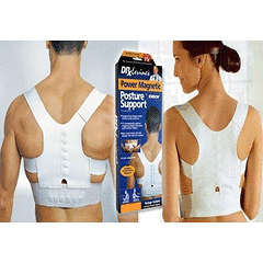 Posture support