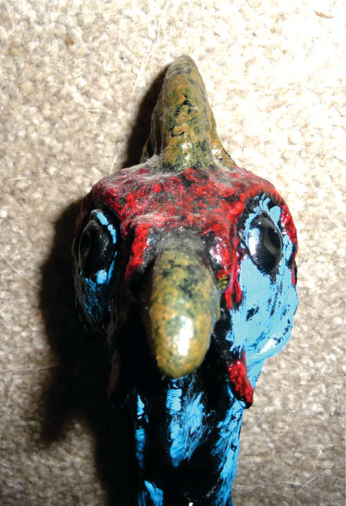 Helmeted Guinea Fowl Head