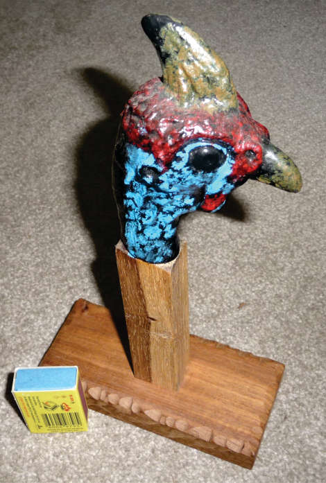 Helmeted Guinea Fowl Head
