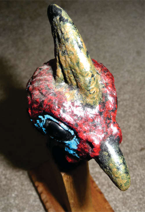 Helmeted Guinea Fowl Head