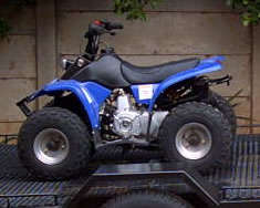 Kazuma Meerkat 50cc Quad bike