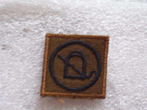 SA ARMY EQUESTRIAN BADGE