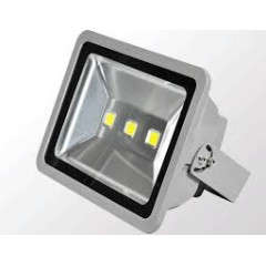 300w LED Floodlight **No additional or combined shipping fees**