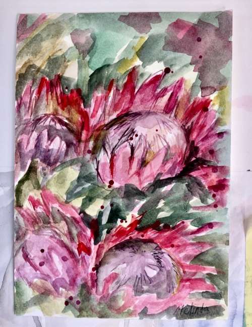 Proteas
