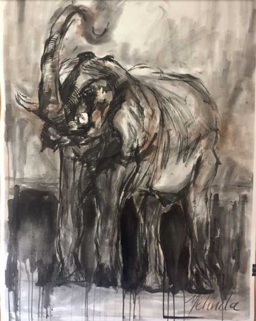 Elephant