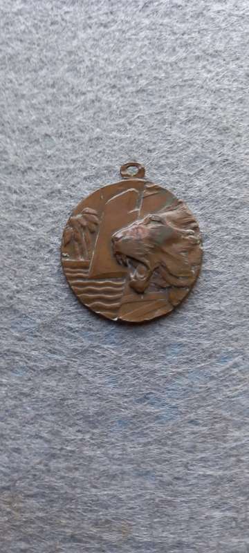 PRE-WW2 ITALIAN COLONIAL MEDAL DIVISIONE SPECIALE LAGHI-SOMALIA