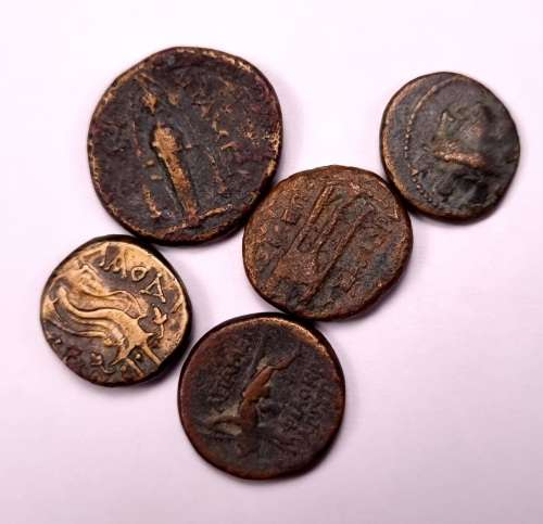 5 Ancient Greek Coins Lot | 300 B.C Zeus portrait