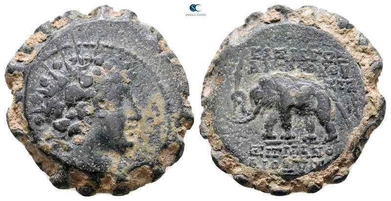 Ancient Greek coin | Serrated, elephant design | Antiochos VI Dionysos 144-142 BC.