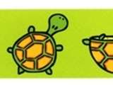 Infoband Wristbands - Turtles
