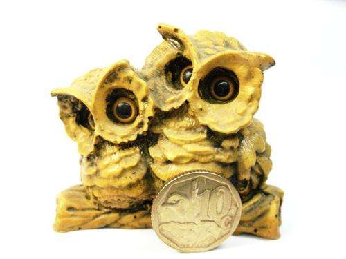 2 OWLS Cuddling!
