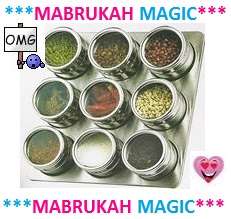 ***SPECIAL OFFER***FIRST ON BOB***ALL NEW***MAGNETIC SPICE/MULTI PURPOSE JARS***